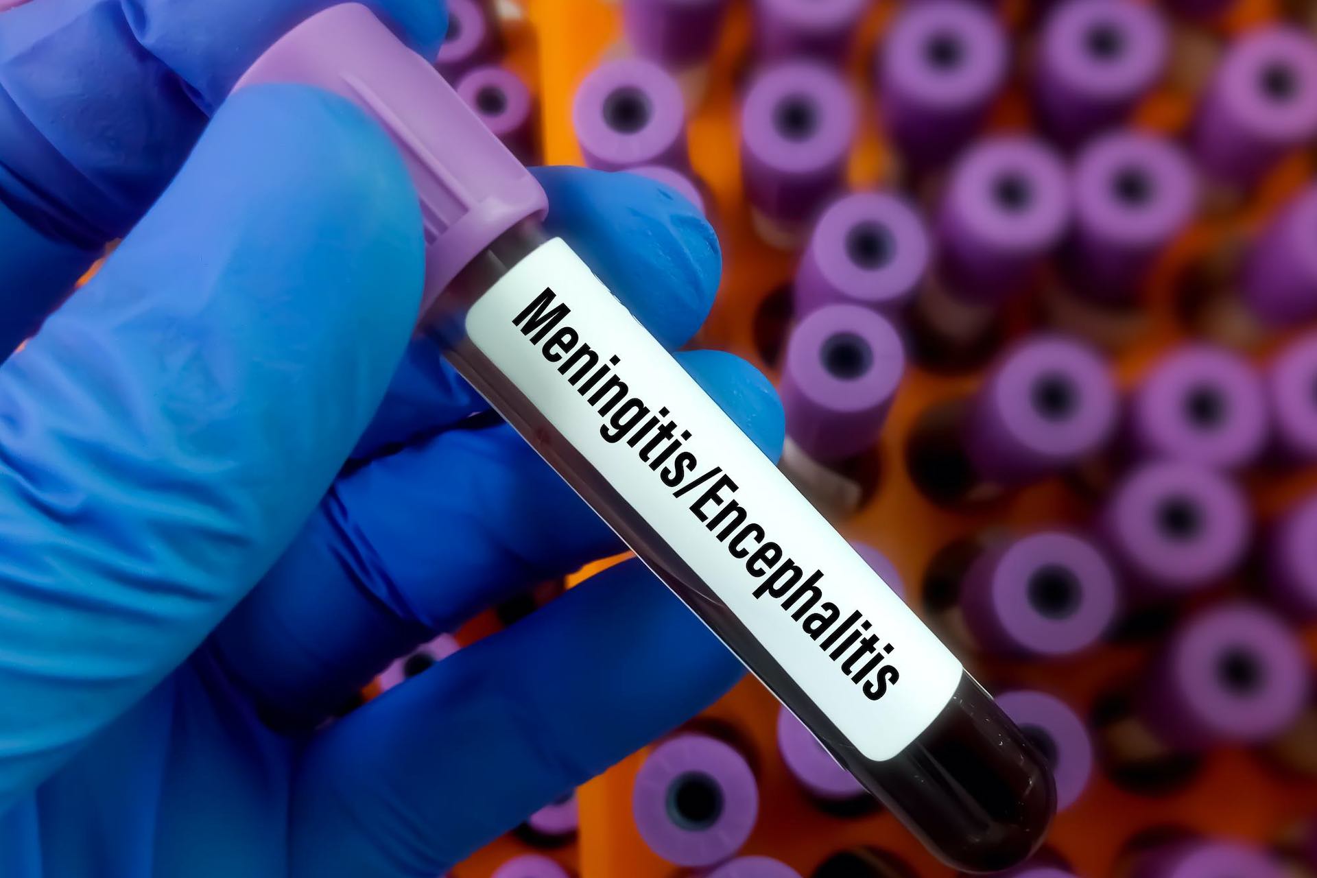 $1.5 billion WHO campaign aims to prevent bacterial meningitis in ...